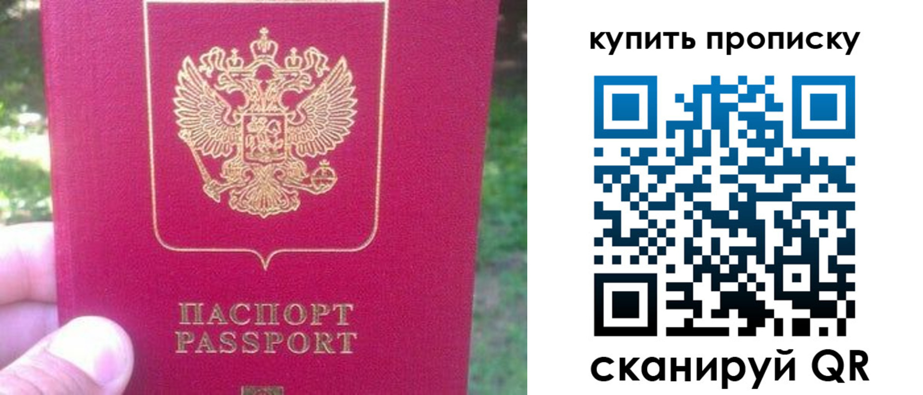 временная регистрация для школы в Тихвине